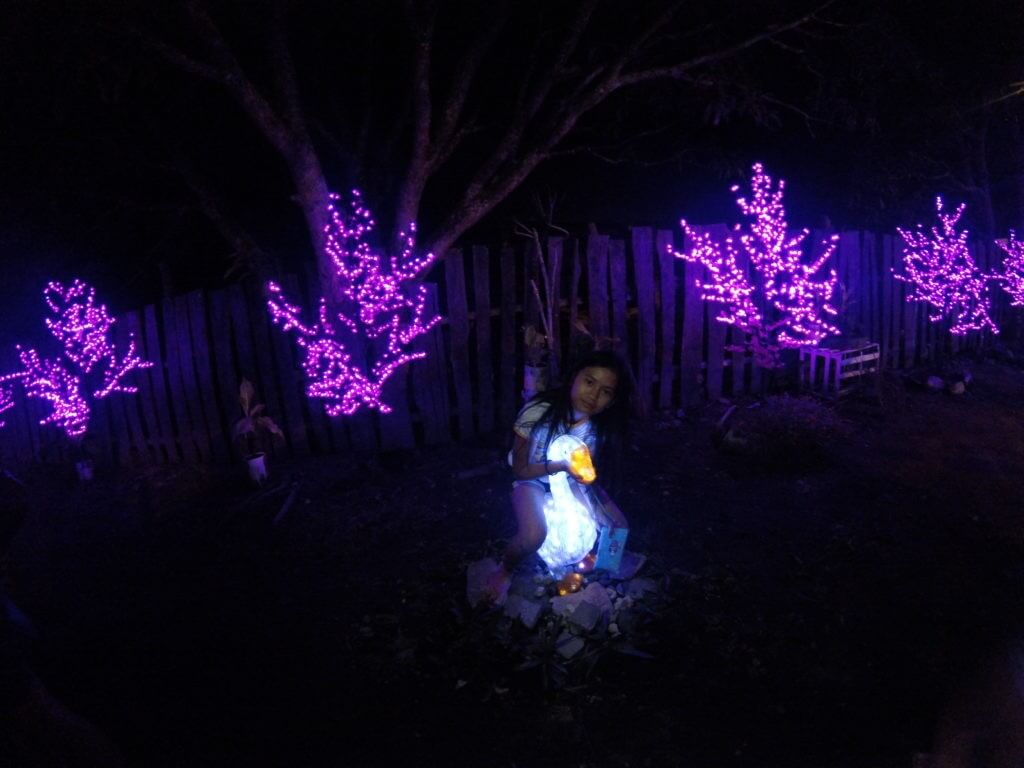 GOPR5930_1522237446654_high-1024x768 Jardin Necitas Pilar Glowing Garden, Bohol